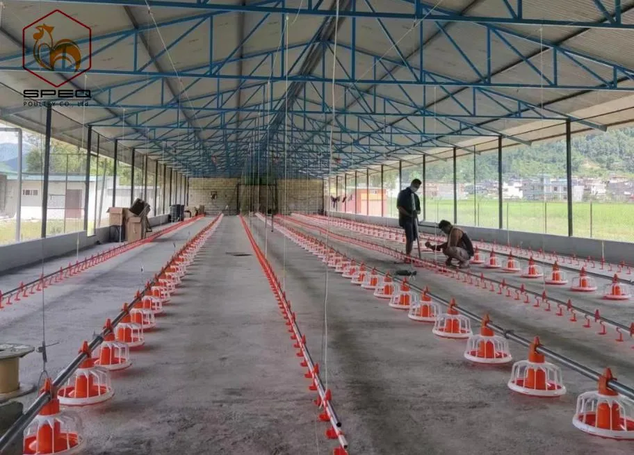Quick Cleaning Automatic Pan Feeding System For Broiler Poultry Farms