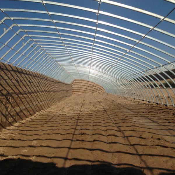 Estufas solares agrícolas eficientemente concebidas para o cultivo de flores e vegetais