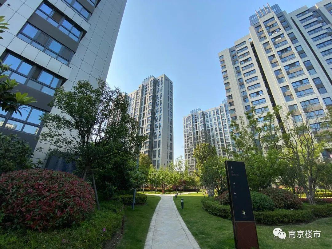 TD4502 Handheld 4G 5G Mobile IMSI Signal Detection Analysis for Positioning and Code Scanning