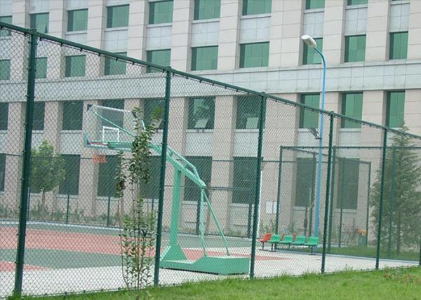 Protection Galvanized Steel Chain Link Fence Multi Sizes / Colors Available