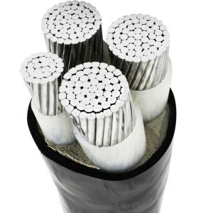 Standard Copper XLPE Insulated Power Cable with PVC PE Jacket YJV YJLV YJLV22