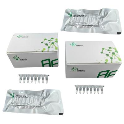 Kit de PCR de Amplificação Isotérmica Rápida e Precisa