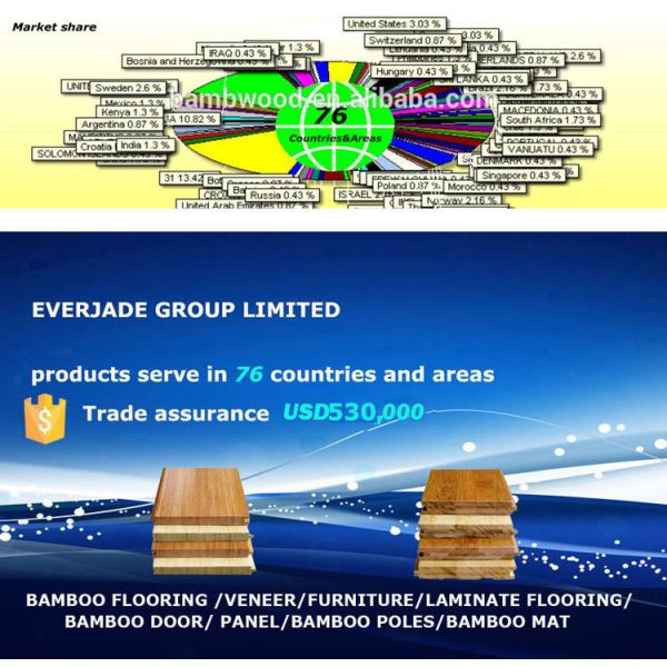 Горизонтальные нитки тканевого бамбукового пола от окончательного выбора для других полов