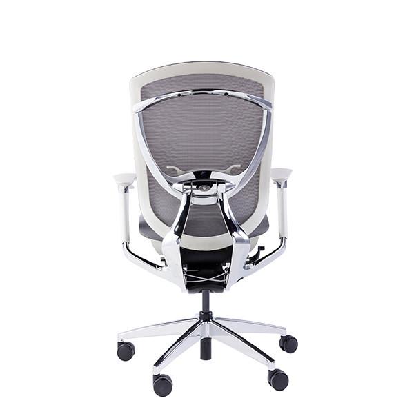 IFIT Black Ergonomic Desk Chair With Lumbar Support Adjustable Tilting Mesh Swivel