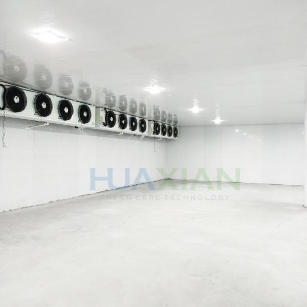 200 Sqm Leaf Vegetable/Fruit Cold Storage Refrigeration Equipment Commercial Walk in Freezer