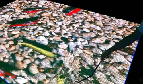 Twinkling Wedding Led Dance Floor Hire