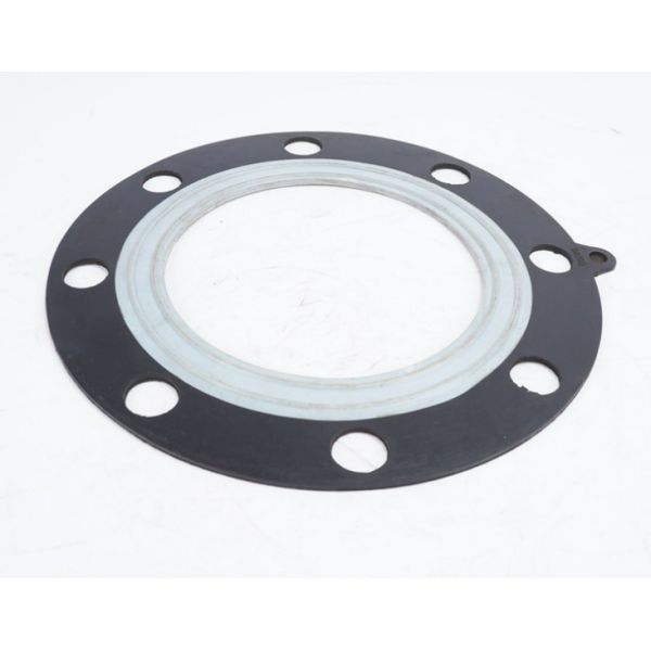 PTFE Rubber Flange Gasket Pharmaceutical Food Chemical  Cladding