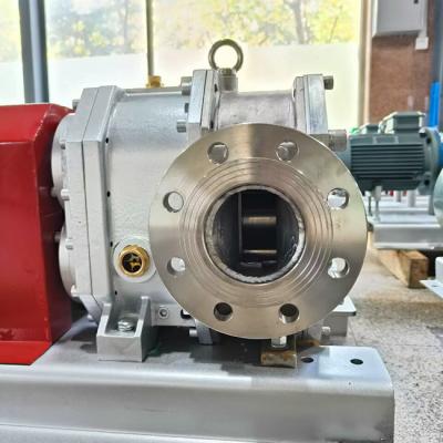 Pressão hidráulica da bomba do lóbulo do motor SS316 resistente para Sugar Industry