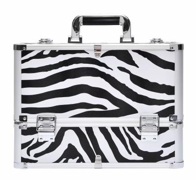 Portable Pink Cosmetic Case Aluminum Frame ABS Beauty Case With Shoulder Strap