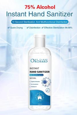 Portable Hand Sanitizer Gel , 100ml Alcohol Based Hand Sanitizer Instant