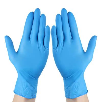 Cleanroom Nitrile Gloves Anti-Static Water Proof Powder-Free For Healthcare & Research, Food & Chemical Industries
