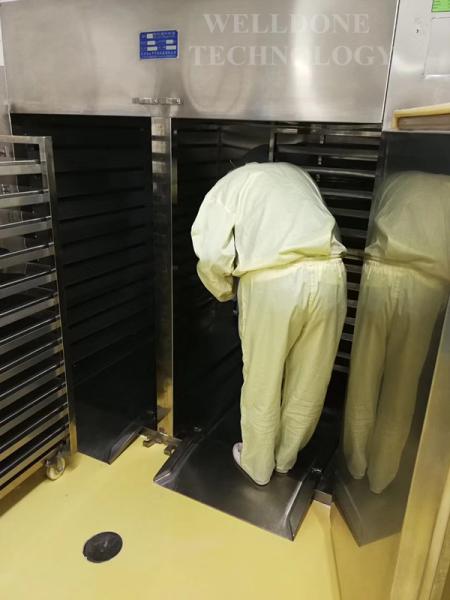 A carne/espasmódicos/melhora Tray Drying Oven (aquecimento de vapor/aquecimento elétrico/aquecimento de óleo térmico)