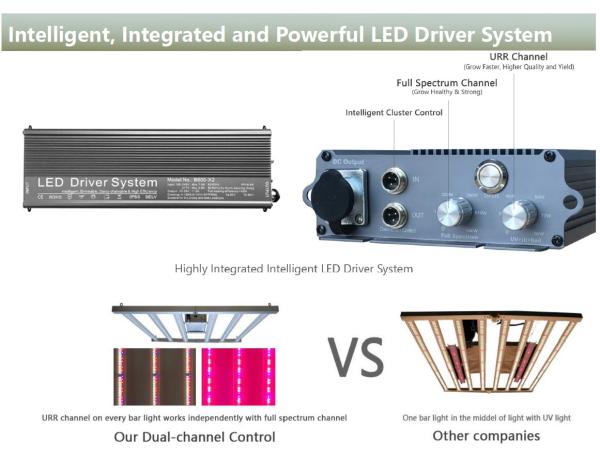 Vegetable 800 Watt 1000W LED Grow Lights 2.8umol/J Dimming Control