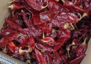 O bloco dá forma a Guajillo secado Chili Peppers