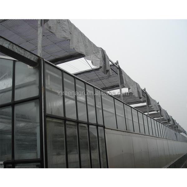 Glass Covered Industrial Greenhouse with 3.73-7.73m Roof Height and Glass Panels