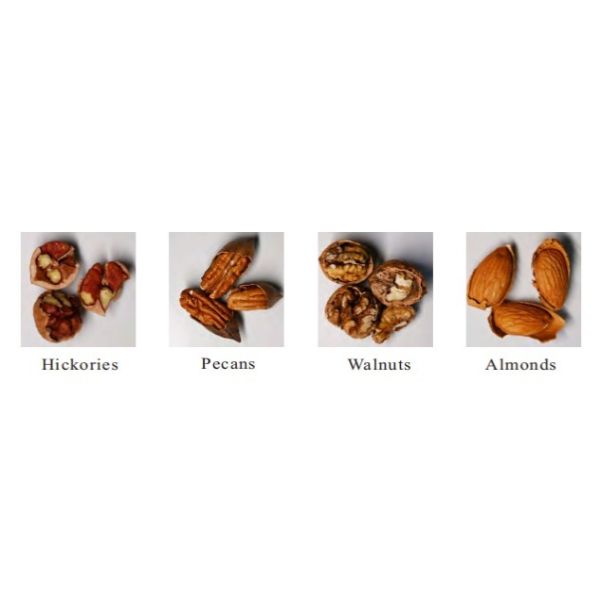 AI-RGB Cashew Colour Sorting Machine PX Four View Cashew Color Sorter