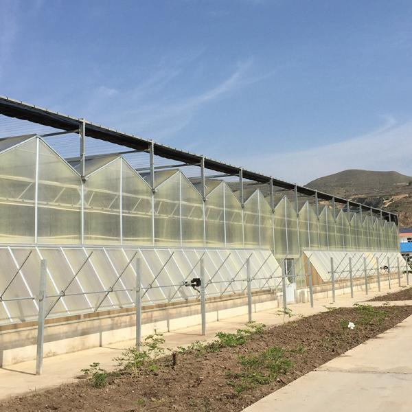 Multi-Span Agricultural Greenhouses for Sustainable Fruits and Vegetables Cultivation