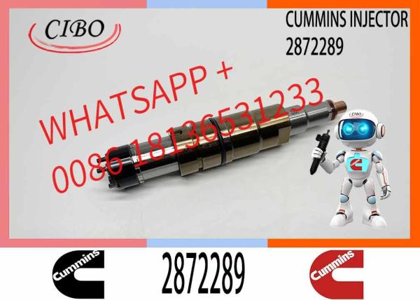 Fuel Injector Diesel Engine Injector Common Rail Injector Repair Kit 2488244 2872544 2872289 2872284 4955080