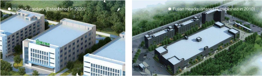 Biodegradable Plastic Free Craft Coffee Cup Degradable Double Wall Paper Cups Recyclable