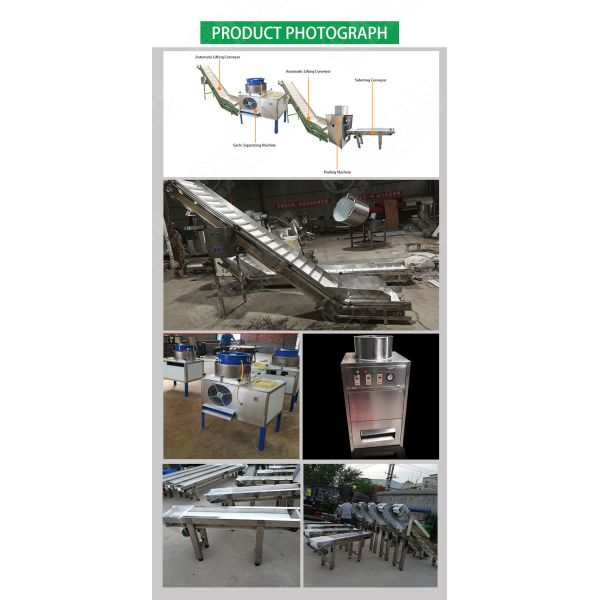 Industrial Automatic garlic peeling machine production line garlic processing machines