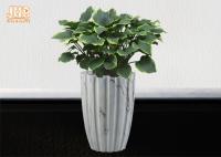 Planteurs de marbrure Clay Floor Vases de pot de pots de Clay Flower Pots Fiberclay Plant grands