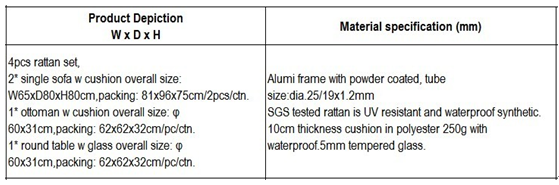 Contemporary Comfortable Sofa Chair , Rattan Wicker Furniture Set