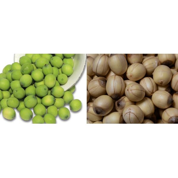 Lotus Seed Vacuum Fried Chips Machine PLC Control Continuously Oil Filtration