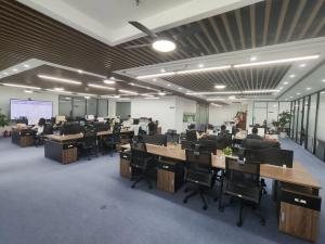Wuhan The One Micro Technology Co., Ltd.
