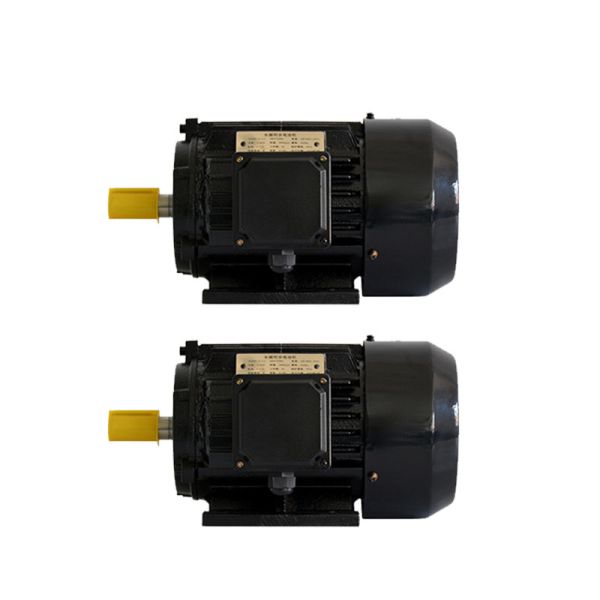 Installation Mode B3/B35 Versatile Permanent Magnet Drive Integrated Motor With