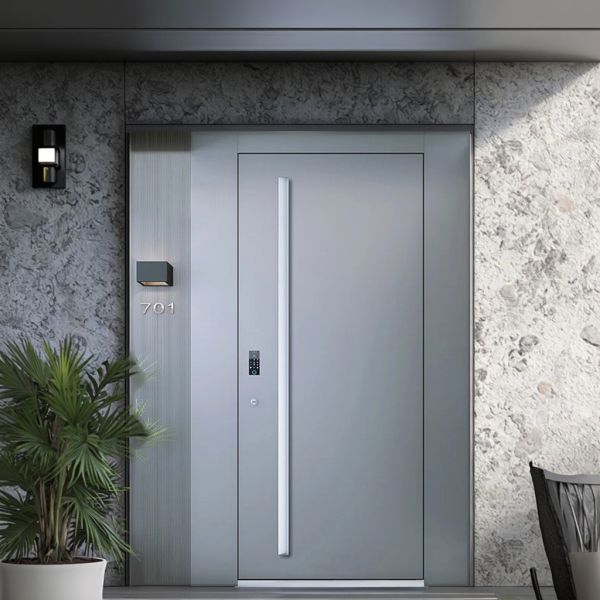 Modern Anti Theft Entry Door Custom Polymer Steel Gate Single Security For House