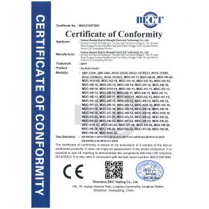 Foshan Shunde District Shengfei Electrical Technology Co., Ltd. Certifications