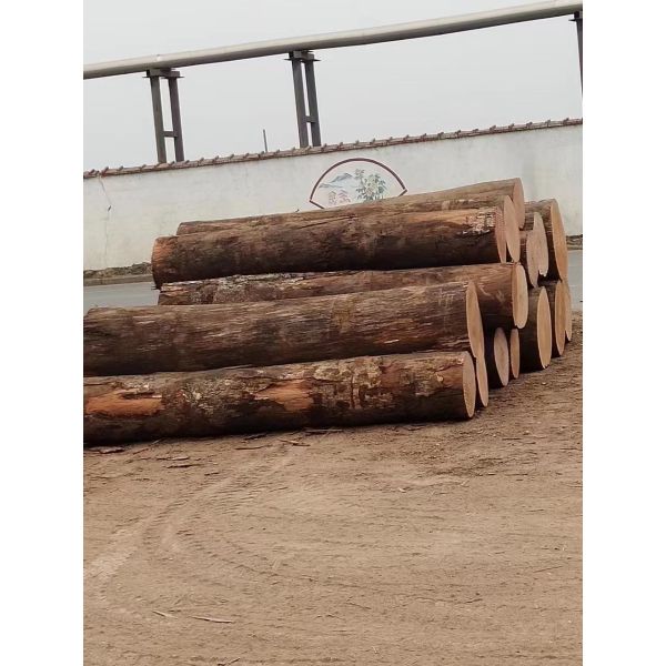 Естественный деревянный роторный лист облицовки отрезка PLB с 0.15-0.3mm для переклейки