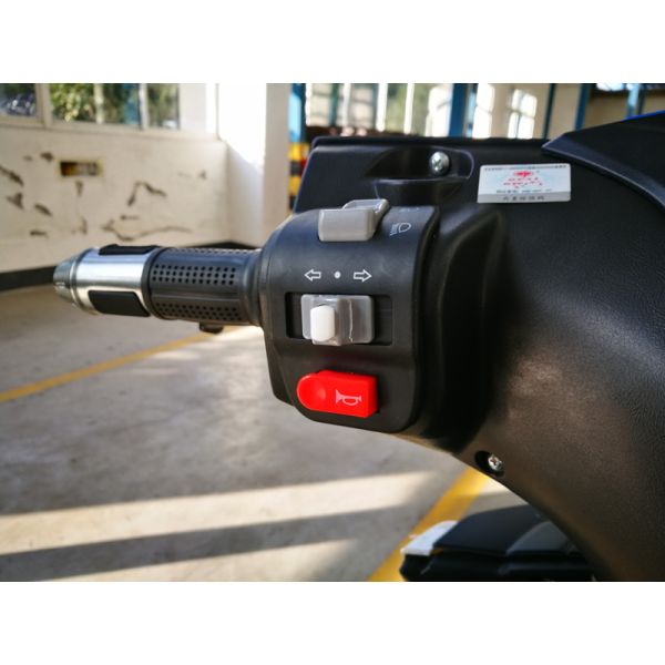 EEC Women And Men Multi Color Electric Road Scooter High Speed 50cc Electric Scooter