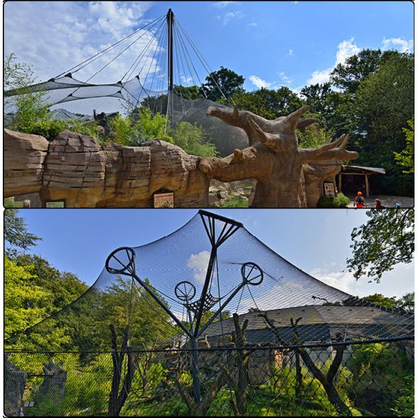 Zoo Enclosure Mesh