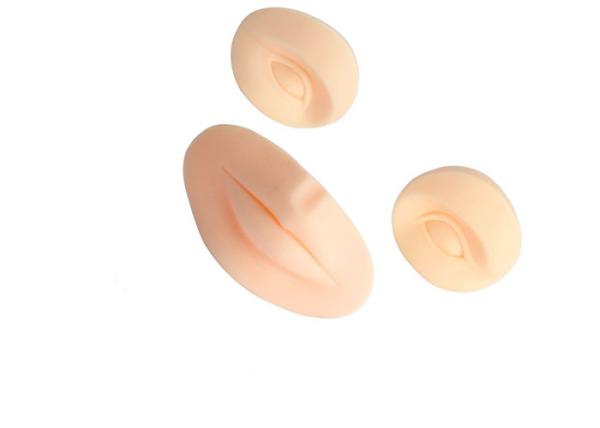 bordo permanente da sobrancelha da pele da prática do silicone da composição 3D que Tattooing para a beleza e programas médicos