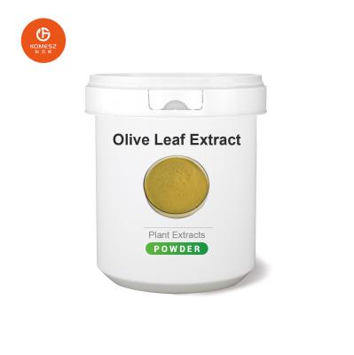 Soulager les arythmies et prévenir le durcissement des artères avec l' extrait de feuilles d' olivier Hydroxytyrosol