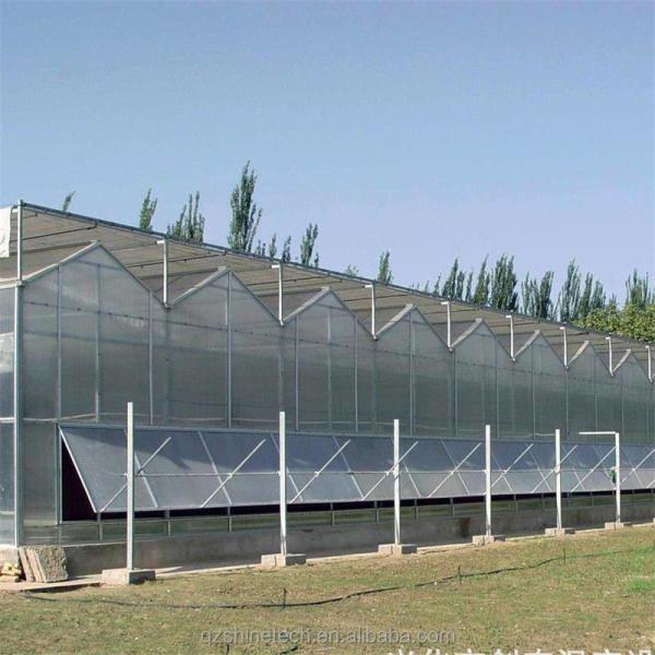 Industrial Polycarbonate Sheet Greenhouses Ideal for Growing Vegetable Fruits Flowers