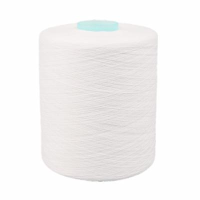 Spun Polyester Yarn 20 / 2 20 / 3  Anti - Bacteria , Customized Polyester Staple Yarn