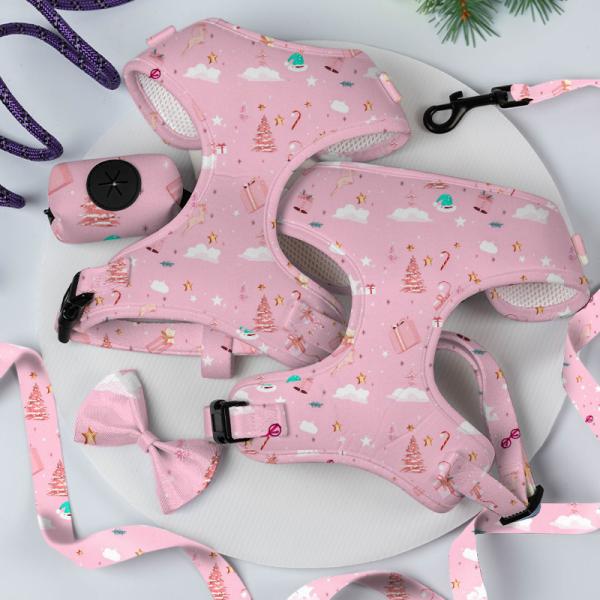 Custom Logo Designer's Top Pick Personalized Dog Harness Set with Bowknot Decoration Bandana and Adjustable Collar Leash