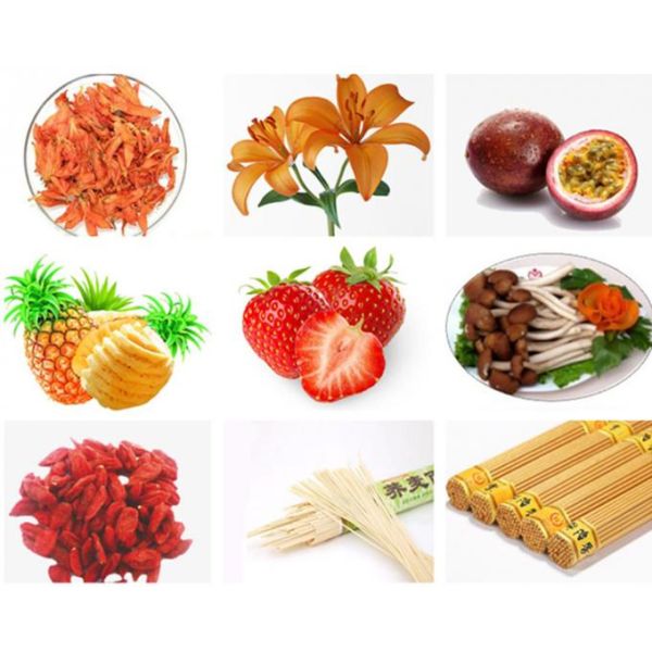 Strong Industrial Hot Air Dryer Fruit Drying Equipment Easy Installation