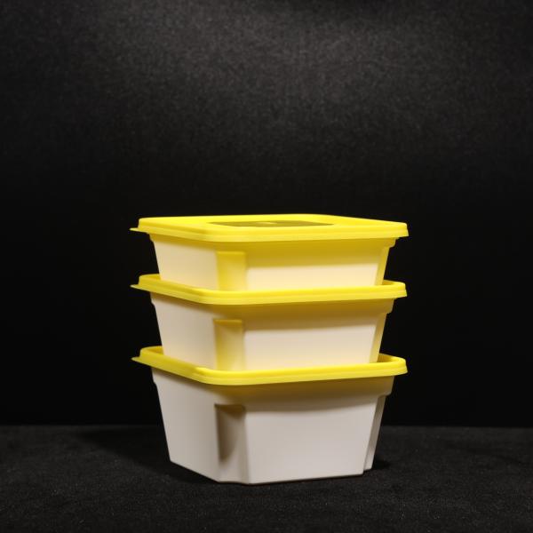 450 ml de proteção contra fugas de PP sanduíche cachorro quente salada caixa de almoço cor personalizada