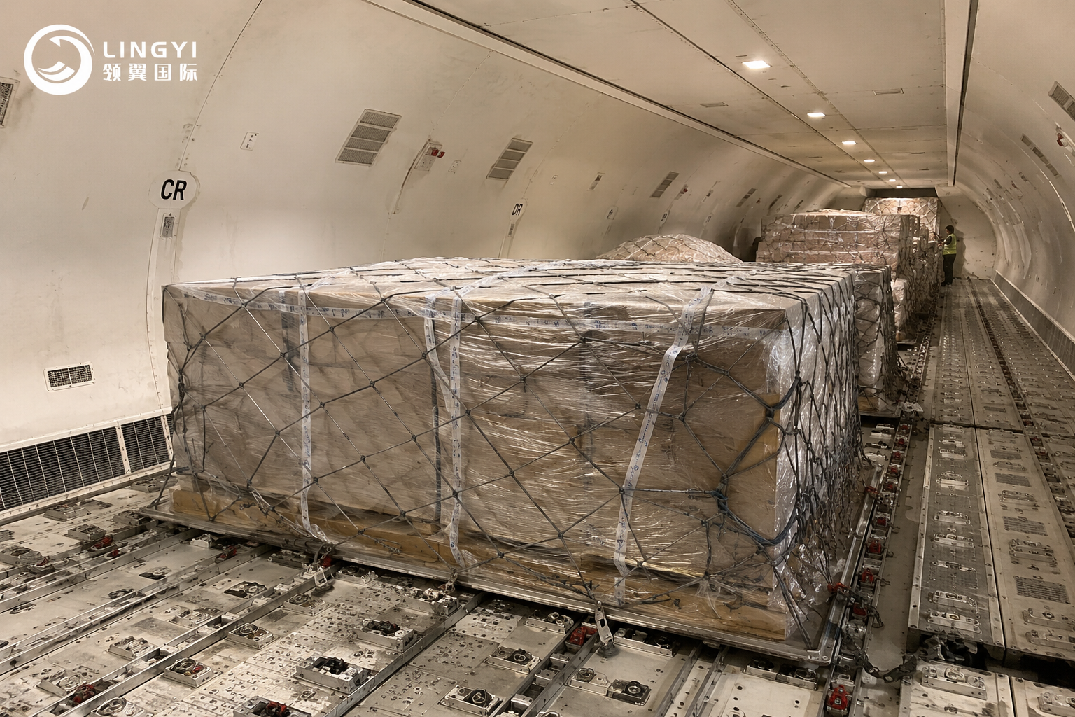 China to USA Sea Freight Shipping Service | Affordable Door to Door Ocean Cargo