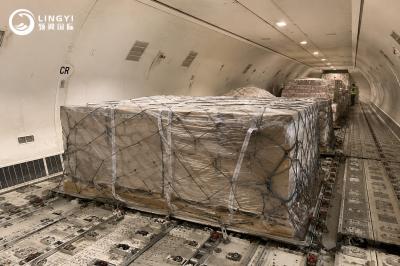 China to USA Sea Freight Shipping Service | Affordable Door to Door Ocean Cargo Solutions