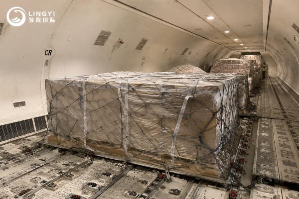 China to USA Sea Freight Shipping Service | Affordable Door to Door Ocean Cargo Solutions