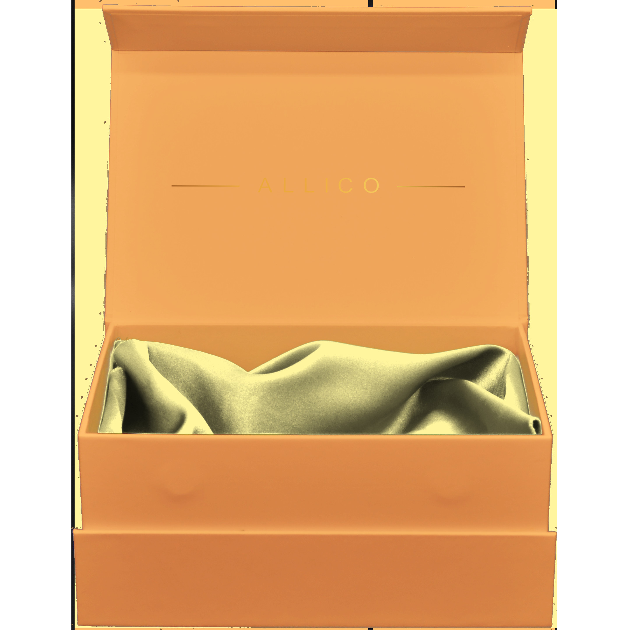 Коробка футболки 250g/300g CCNB магнитная упаковывая с лентой