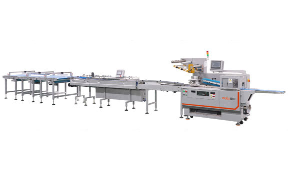 Automatic Sorting Machine
