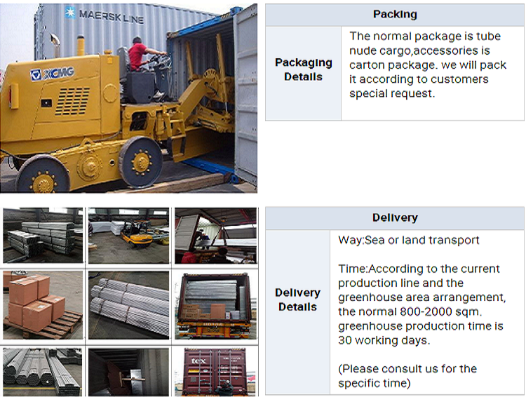 Serre de tomates à seule branche Hydroponie Cultivation de grandes serres en verre