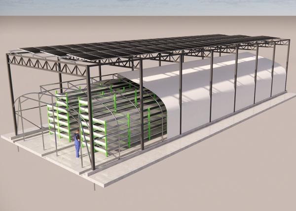 Solar Powered Black Film Greenhouse Mushroom Farming Strong Plastic Greenhouse
