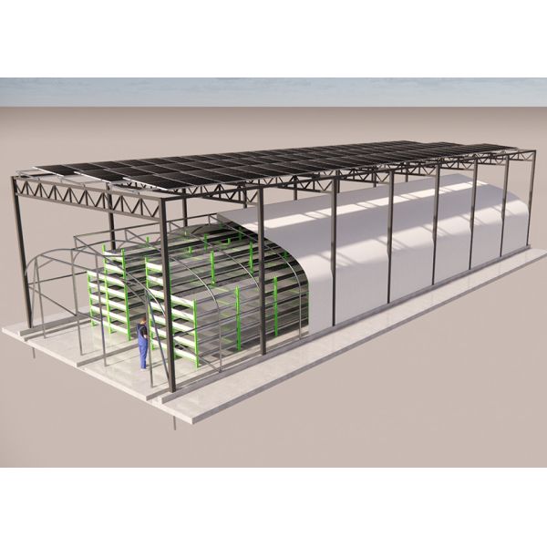 Solar Powered Black Film Greenhouse Mushroom Farming Strong Plastic Greenhouse