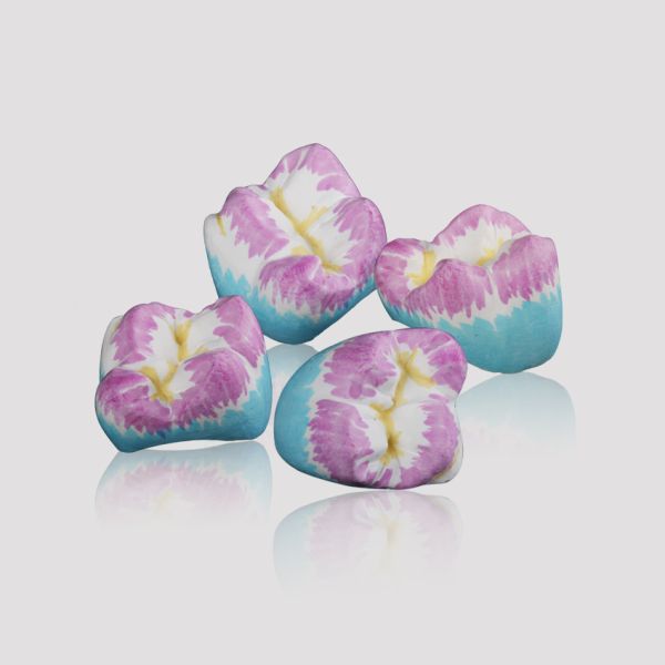 High Translucency Zirconia HT White Blank Manual System 1400Mpa Bending Strength